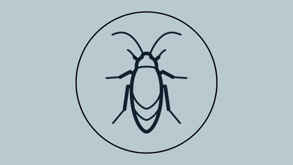 rentokil-image-icon-pest-cockroach
