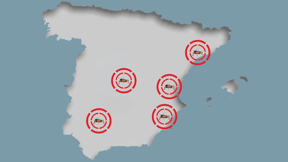mapa-de-cucarachas-espana