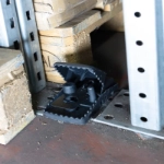 T Rex on storage