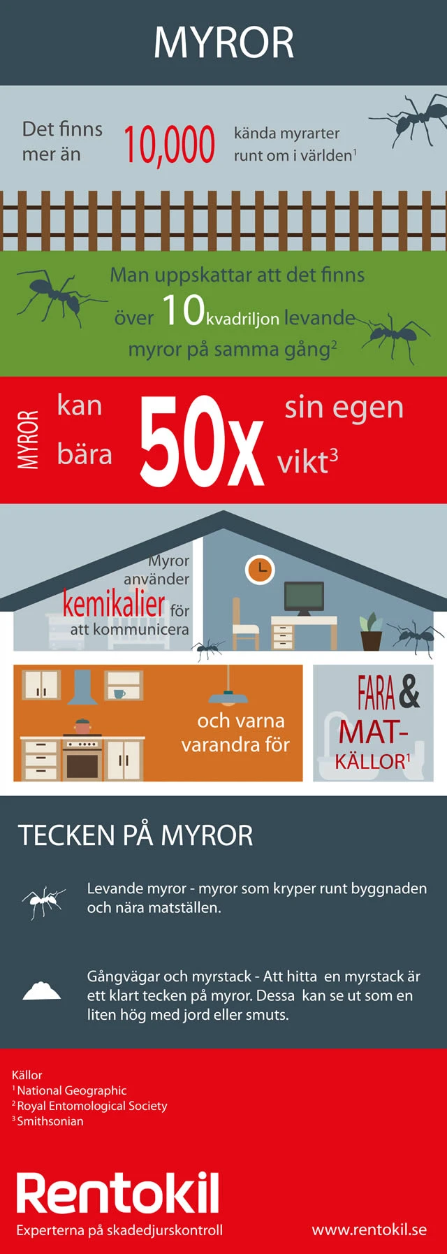 Med denna illustration vill vi ge dig några intressanta fakta om myror