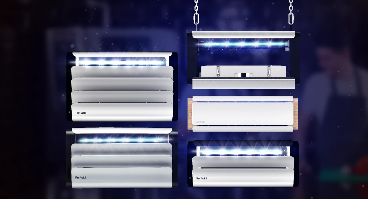 Gamma Lampade cattura insetti Led