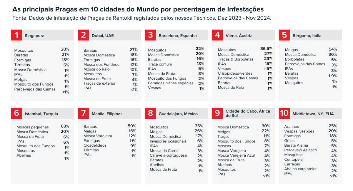 os-insectos-mais-comuns-a-nivel-mundial