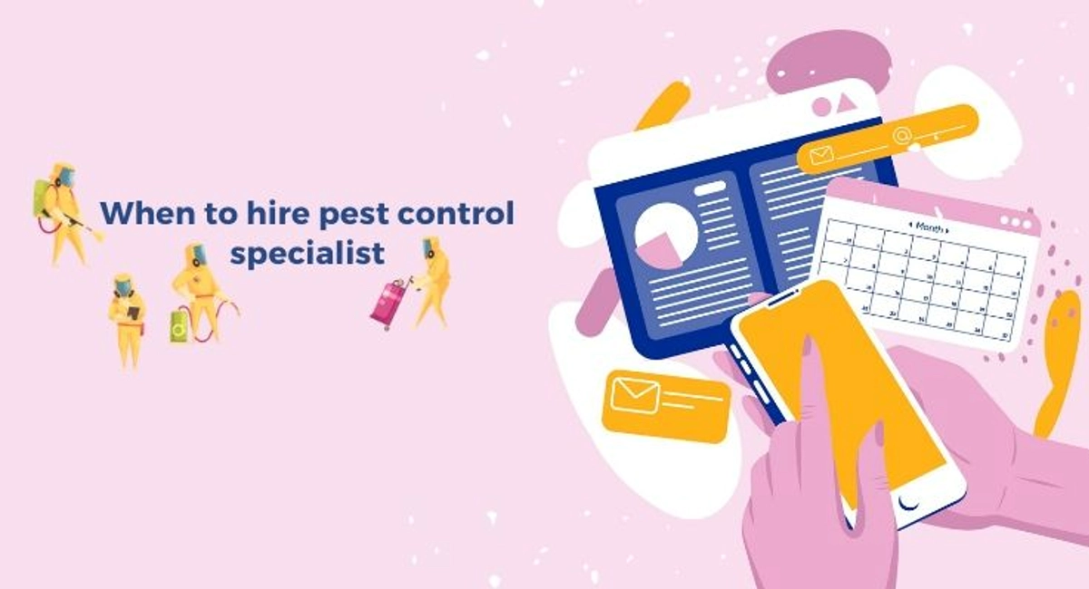 Debugged Blog When Do You Engage Termite Control When To Hire Pest Control