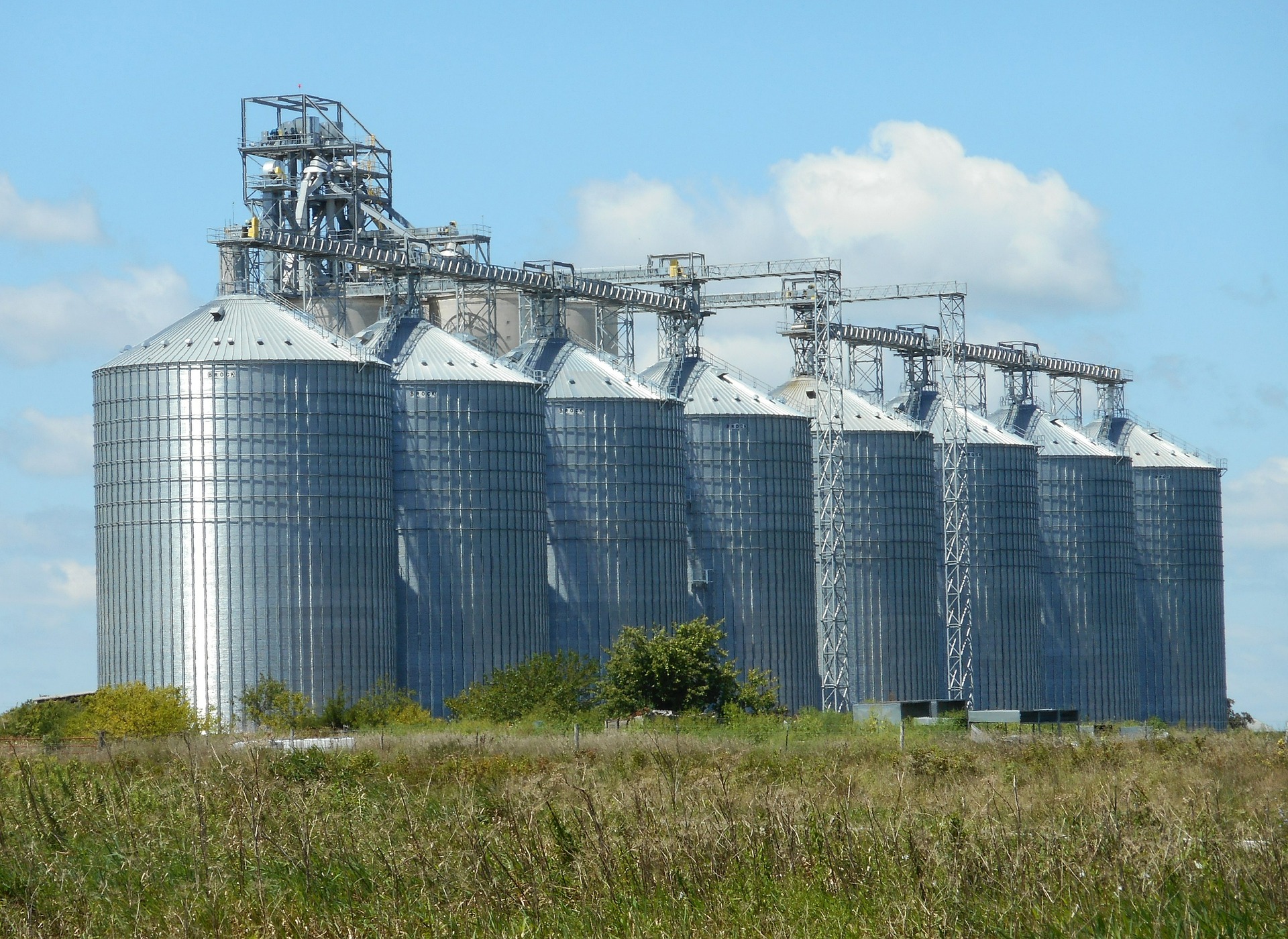 Indistria Alimentaria