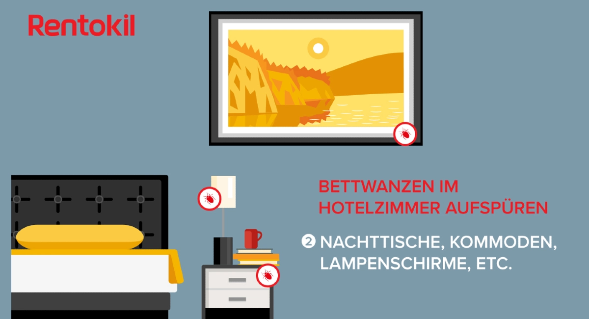 Bettwanzen im Hotelzimmer in Nachttischen
