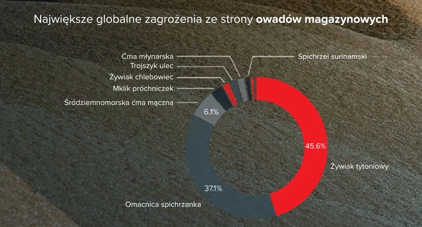 Globalne zagrożenia SPI