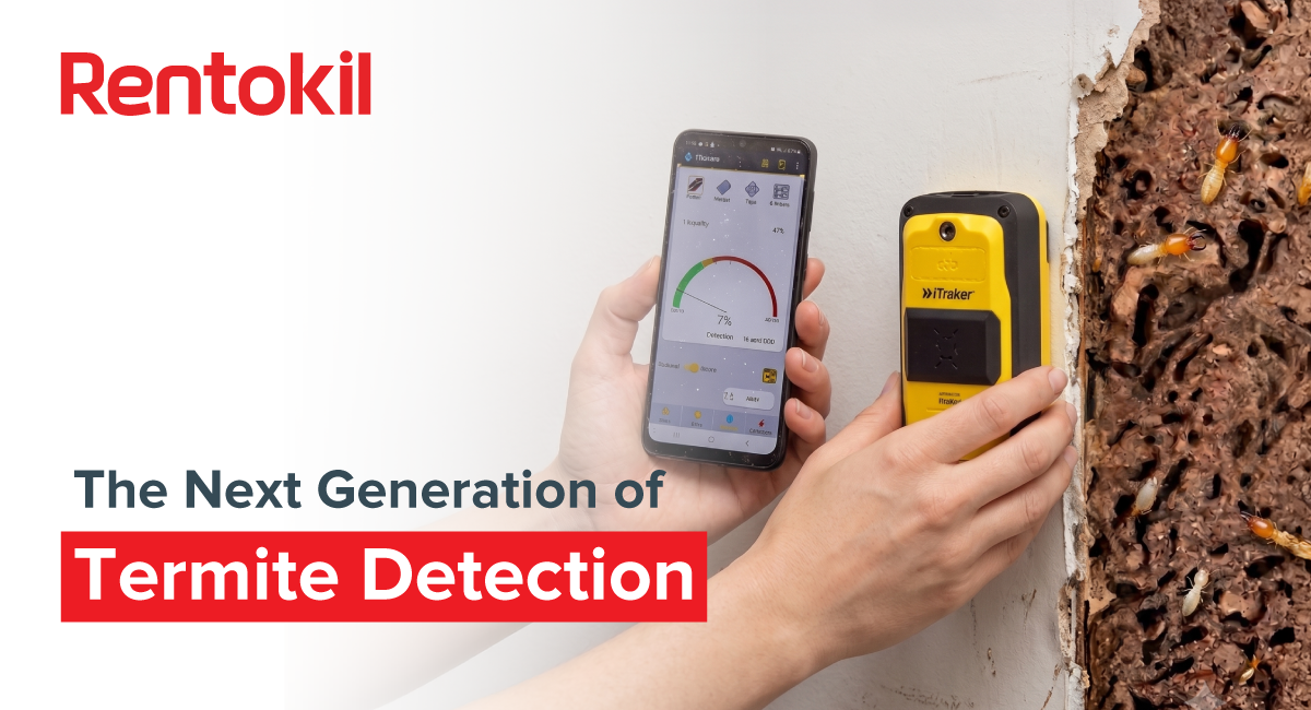 Thorough inspection using advanced technology