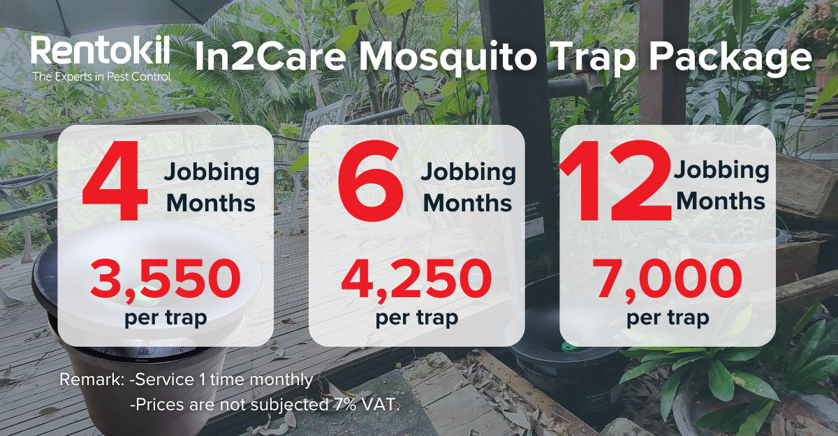 In2care mosquito trap package price