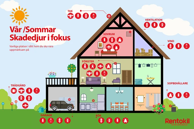 Vår / Sommar Skadedjur i fokus
