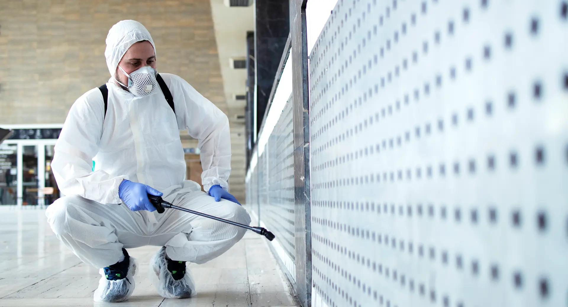 Debugged Blog What You Need Know About Indoor And Outdoor Pest Control In2care