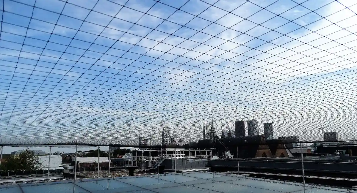 bird netting