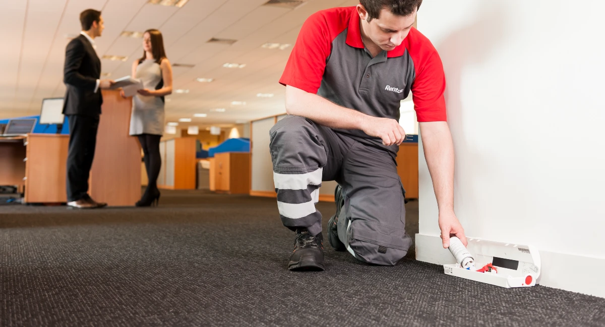 Technician setting bait in office