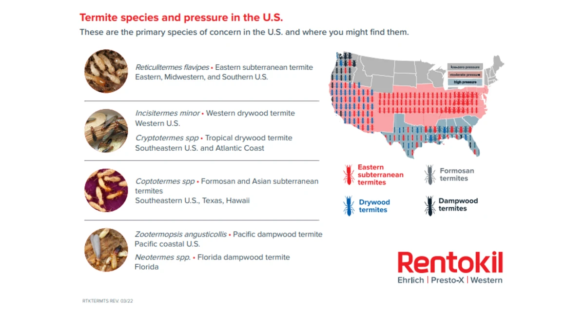 Termite species and pressure in the U.S.