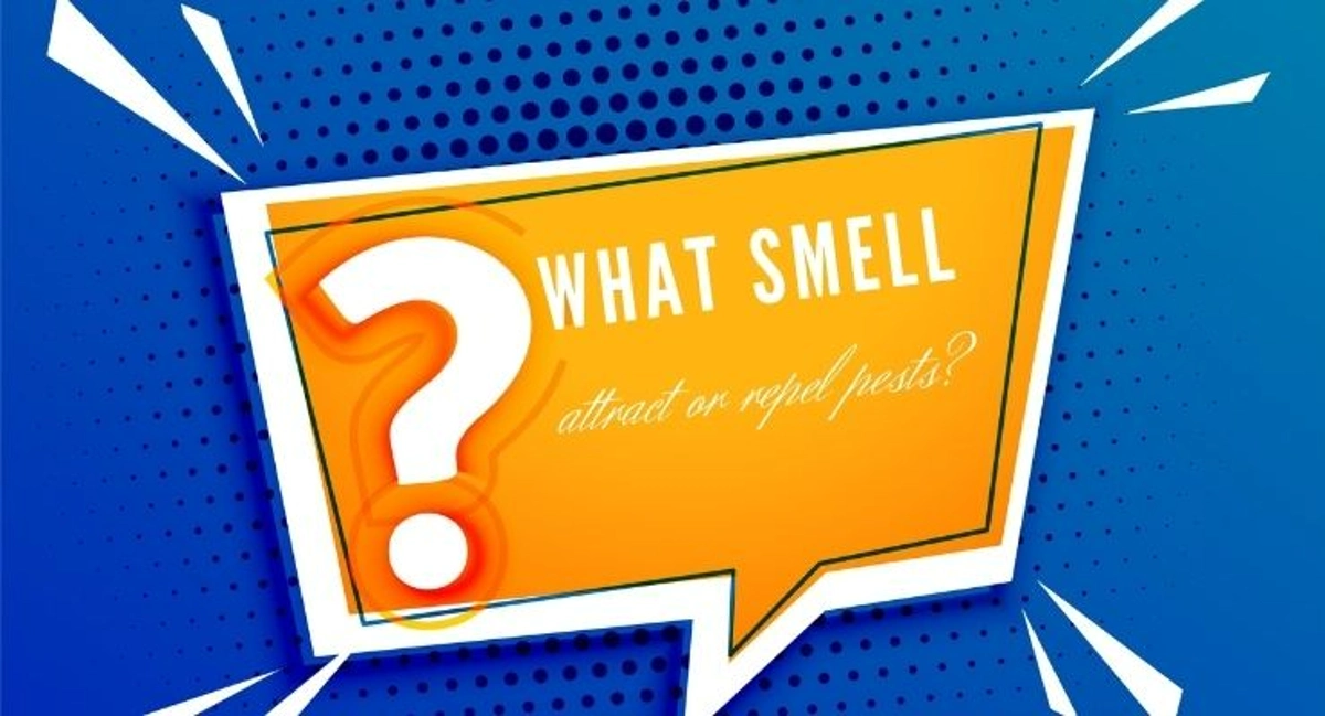 Debugged Blog How Odour Attract Pest Infestation What Smell Attract and Repel Pests
