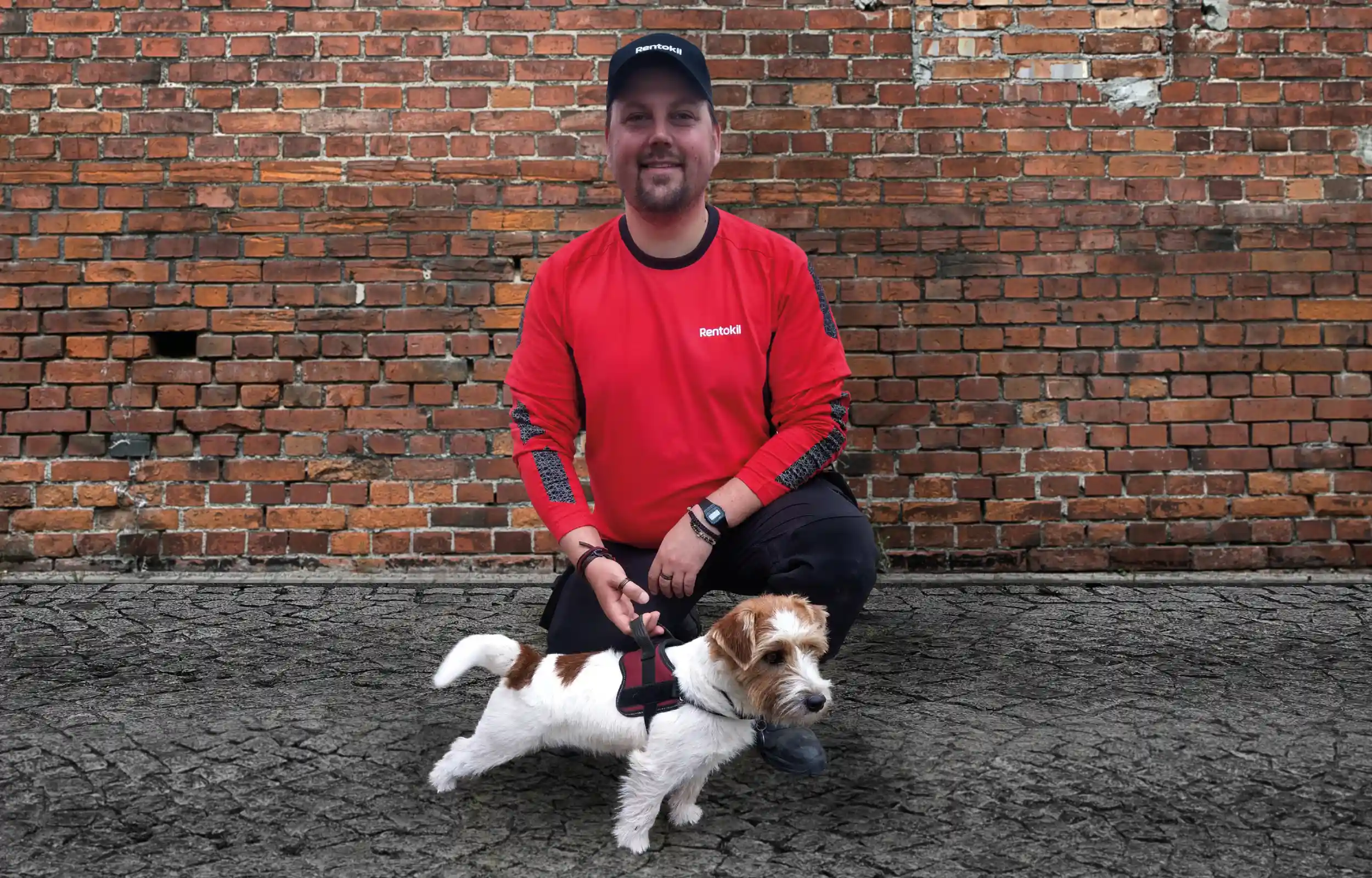 Rentokil Rottehund med fører