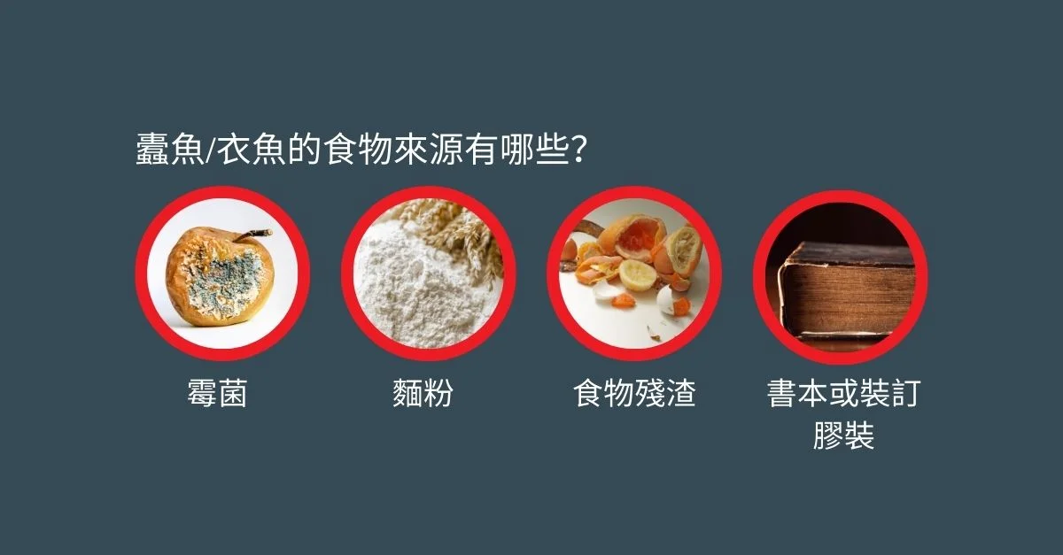 蠹魚/衣魚的食物來源