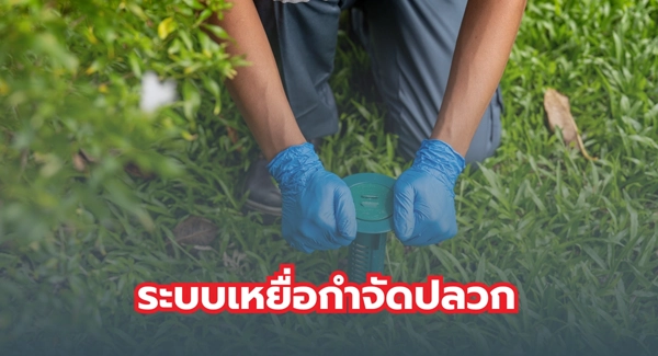 ระบบเหยื่อกำจัดปลวก