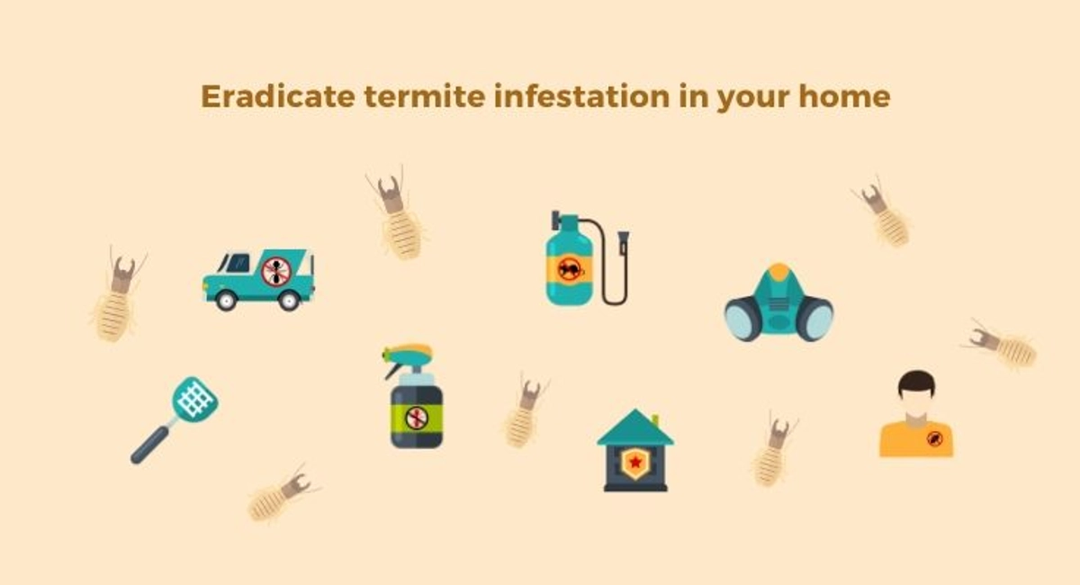 Debugged Blog Why It Is Challenging To Eradicate Termites Pest Control For Termites