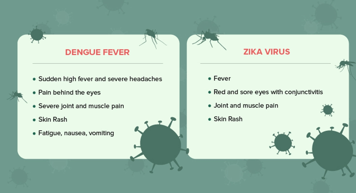 Dengue fever and zika virus