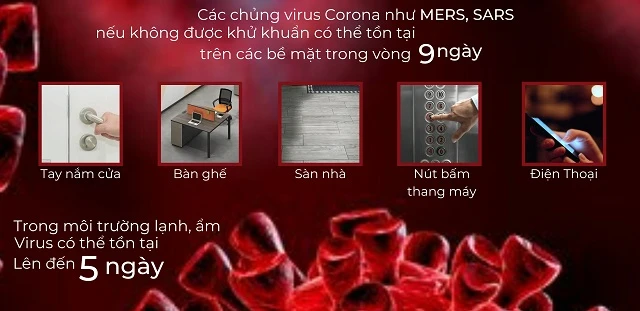Infographic