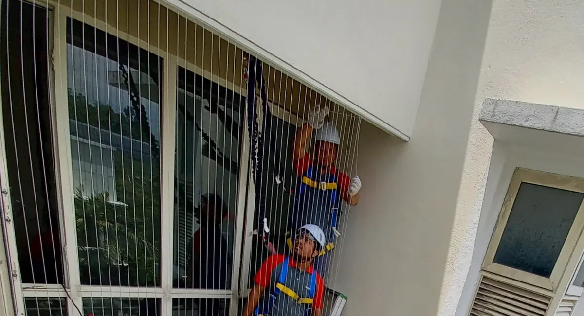 Bird Deterrent and Repellent | Rentokil Malaysia