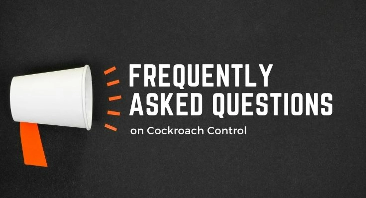 Debugged Blog Top 10 Cockroach Blog Trending Topics FAQ