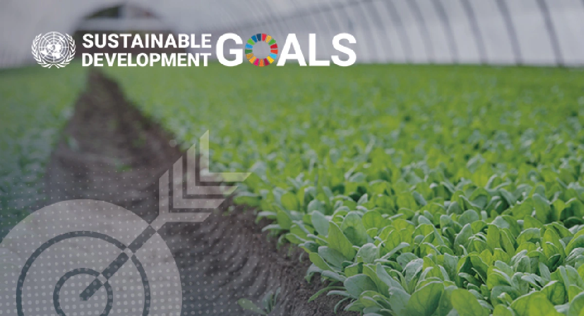 Sustainable development goals