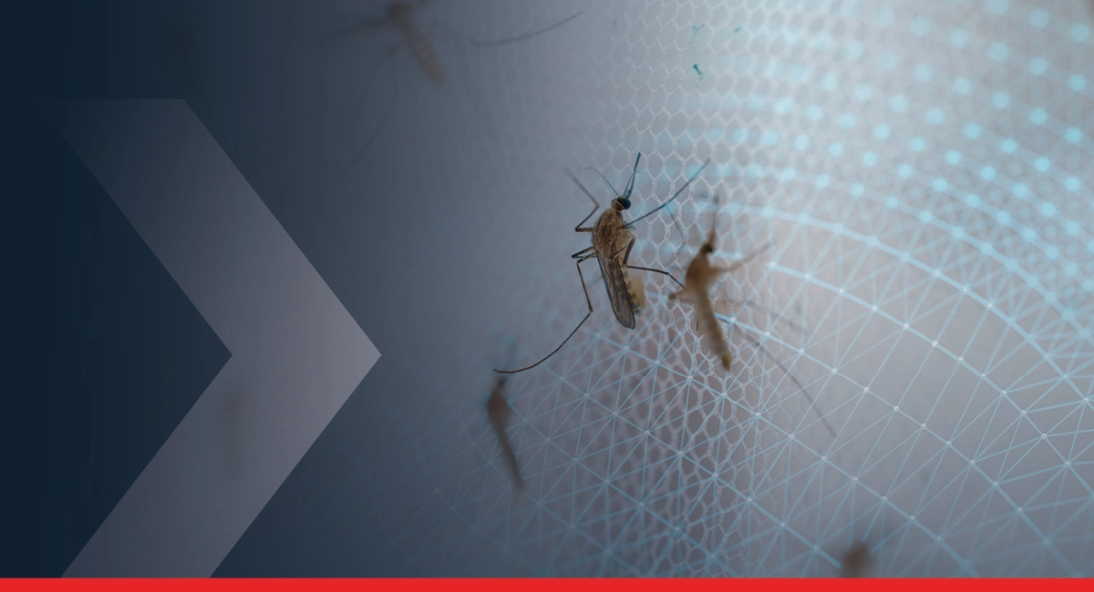 Mosquitoes