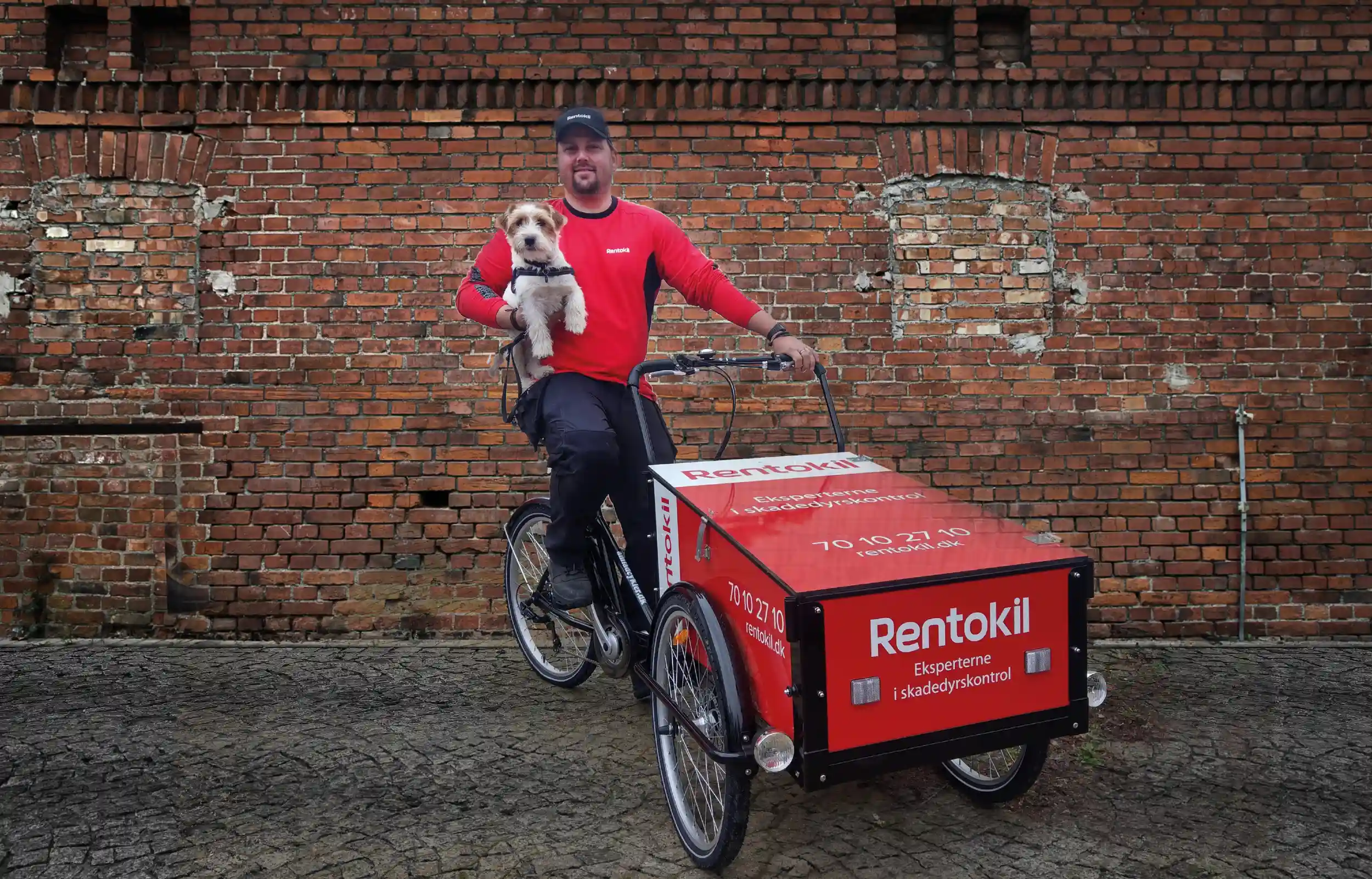 Rentokil Rottehund