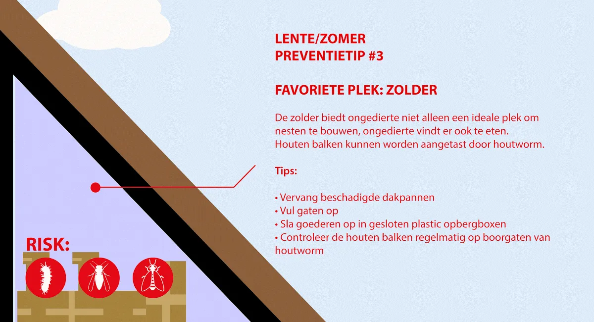 zolder