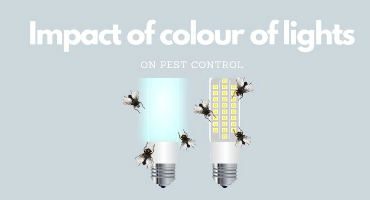 Debugged Blog How Lights Impact Pest Control on Flies