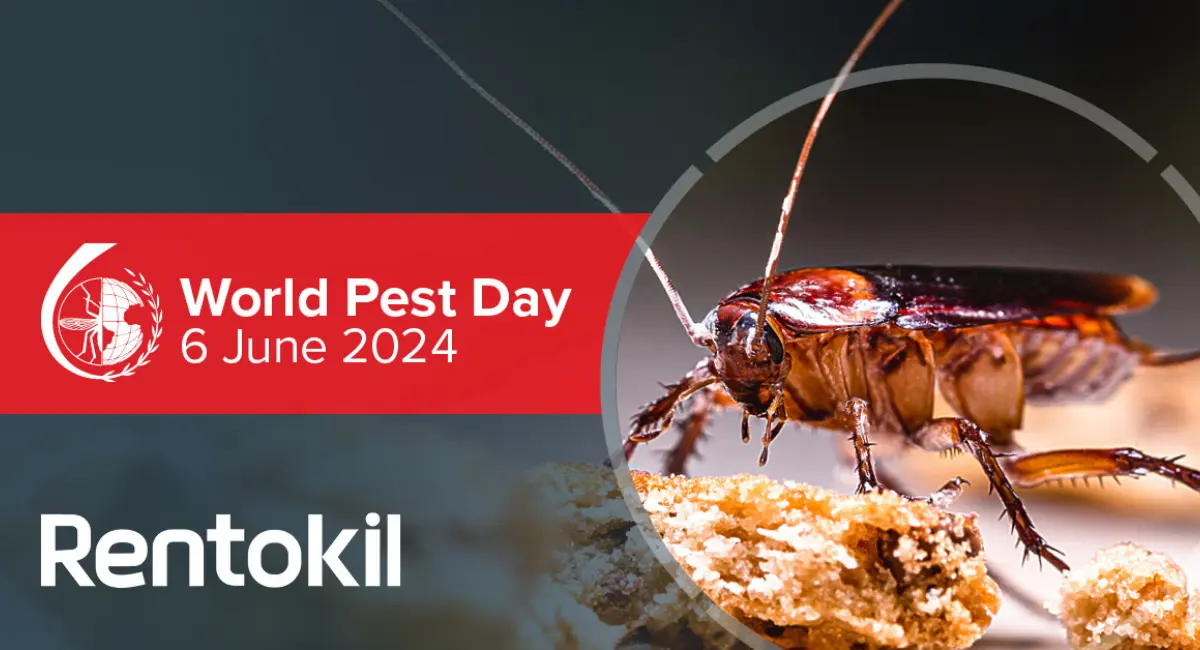 Rentokil World Pest Day Image 2024