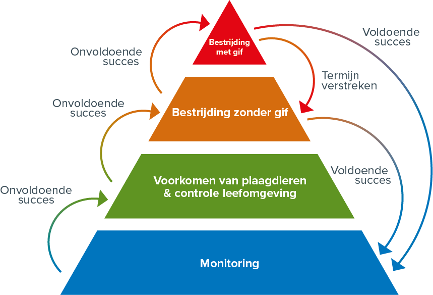 IPM pyramide