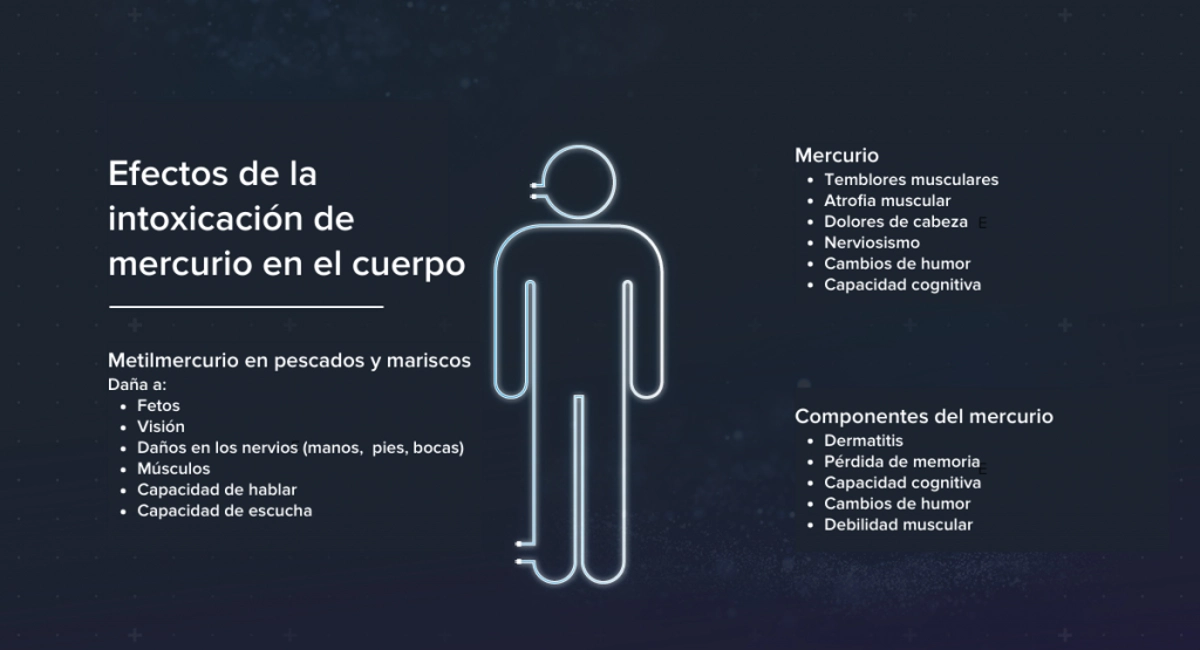 Efectos de la intoxicacion de mercurio en el cuerpo