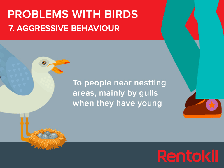 Aggressive behaviour