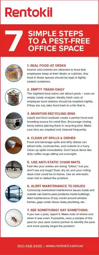 7 simple steps to a pest-free office infographic