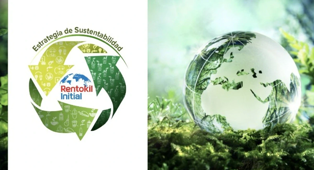 Sustentabilidad: nuestro nuevo foco estratégico