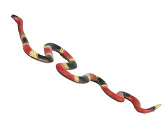 Serpente corallo comune