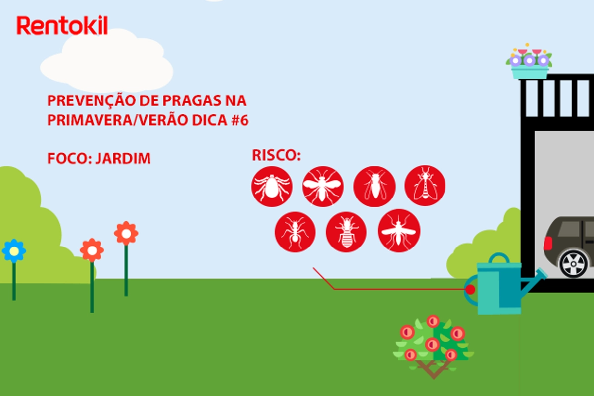 Dicas para prevenção de pragas no jardim