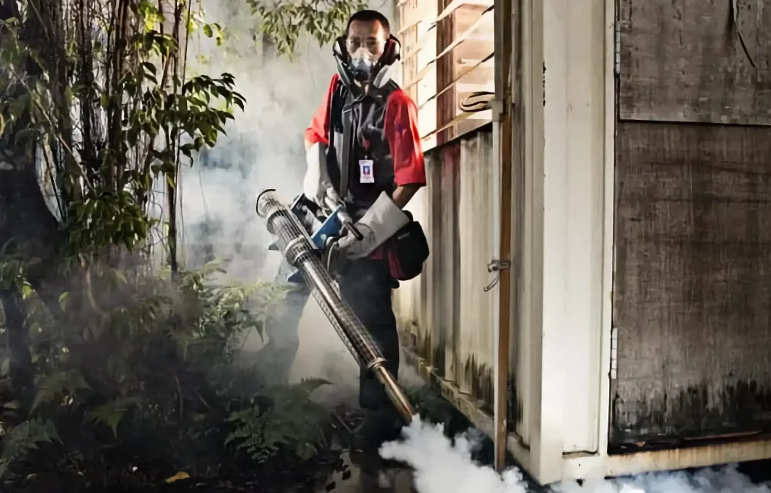 Mosquito Fumigation
