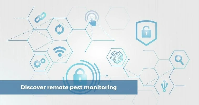 Protect Your Business During COVID 19 Remote Pest Control