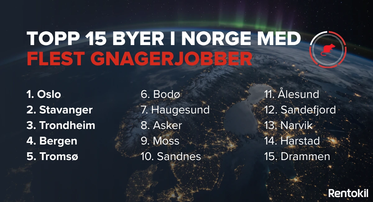 Norske byer med gnagerjobber