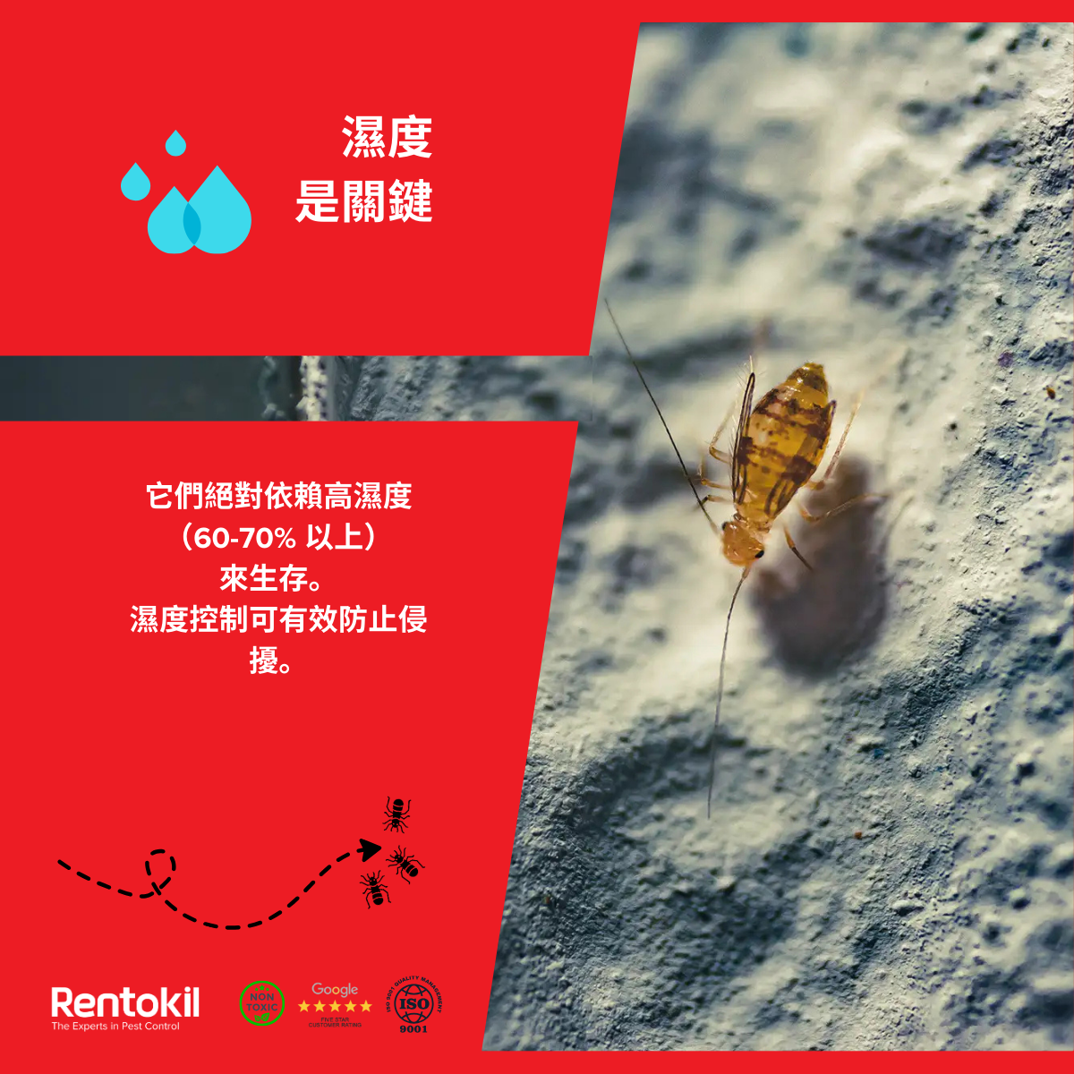 卜泥的主要誘因是濕氣。