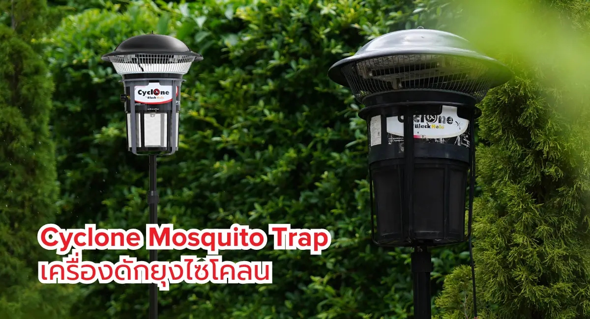 เครื่องดักยุงไซโคลน Cyclone Mosquito Trap