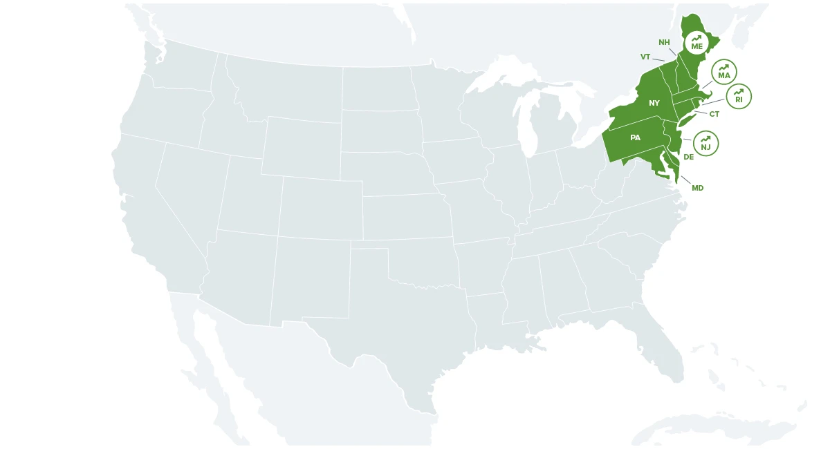 Rodent report Northeast