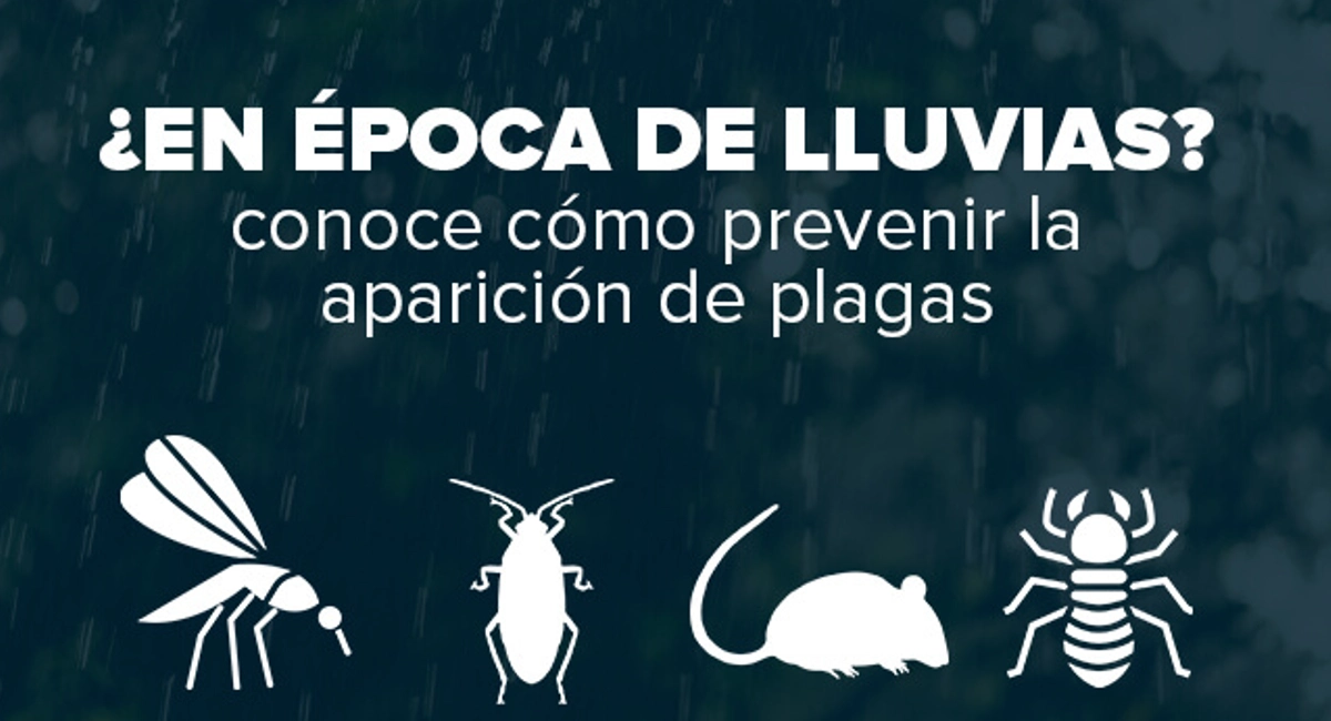 en epoca de lluvias? infographic