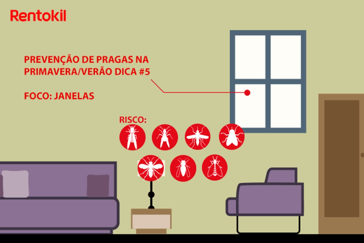 Dicas para prevenção de pragas que entram pelas janelas