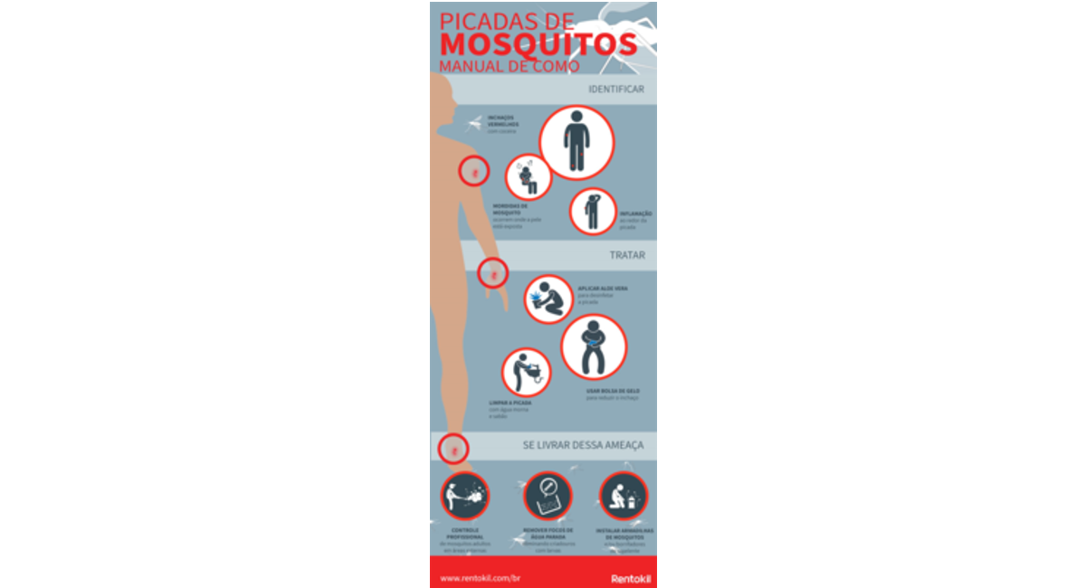 infográfico sobre picadas de mosquito.