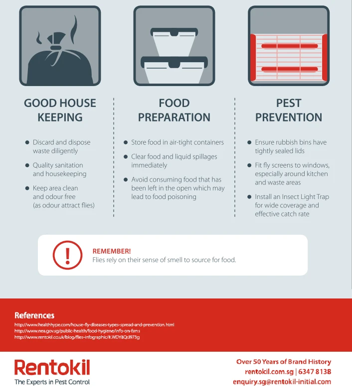 sg-fly-infographic