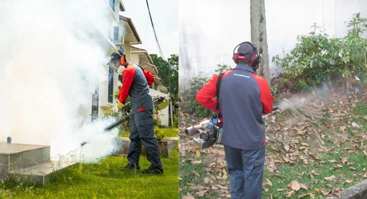 Thermal Fogging